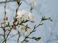 -西北湖绿化广场