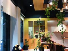 -柴务处·柴犬主题狗咖