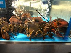 -麦德龙(郑东店)