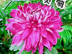 -广州文化公园