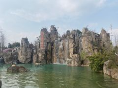 -秀丽东方