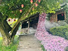 -巴倒烫陆派火锅山庄(南山总店)