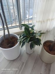 -HEYAN荷妍专业脱毛连锁机构