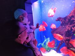 -乌鲁木齐海洋馆