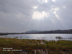 -御道口草原森林风景区
