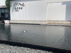 -阳澄湖半岛旅游度假区