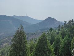 -金龙寺国家森林公园