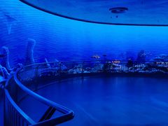 -芜湖新华联大白鲸海洋公园