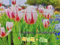 -厦门园林博览苑