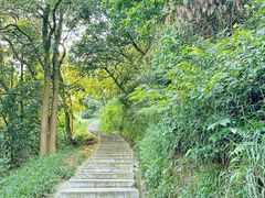 -黄埔油麻山森林公园