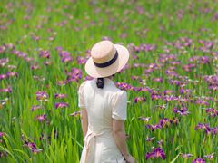 -上海长兴岛郊野公园