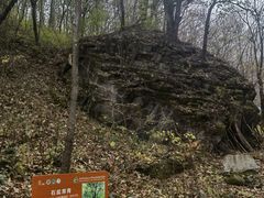 -朱雀国家森林公园