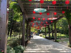 -白马涧龙池景区