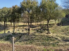-磐安十八涡风景区