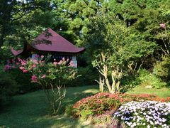 -庐山风景区花径公园