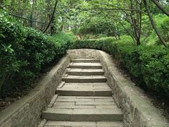 -观象山公园
