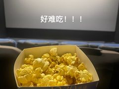 -中影大导演巨幕影城(深圳西乡店)