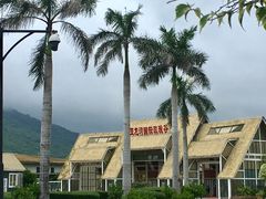 -亚龙湾国际玫瑰谷