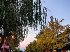 -大理古城