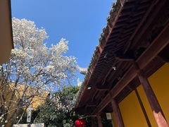-龙华寺