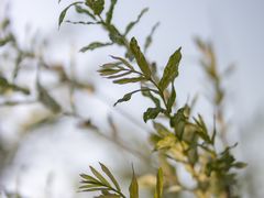 -广富林郊野公园