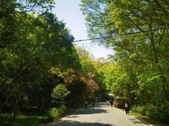 -南京市江宁方山