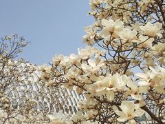 -北京园博大酒店