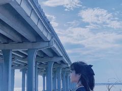 -宝安西湾红树林湿地公园