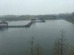 -溱湖国家湿地公园