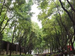-重庆平顶山公园