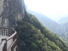 -鹿院坪生态旅游景区