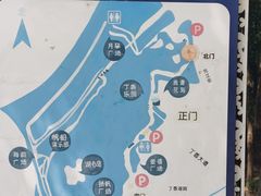 -丁香湖公园
