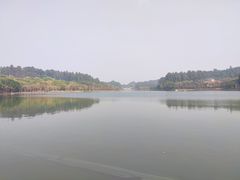 -南国桃园旅游度假区