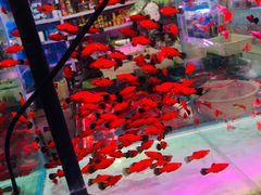 -三旗百汇商品城