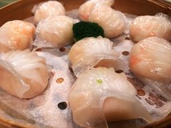 -陶陶居海鲜酒家(新马路店)