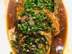 四明湖鱼头-品雅轩农家乐