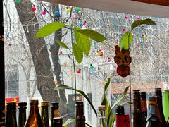 -九酢·海鲜居酒屋