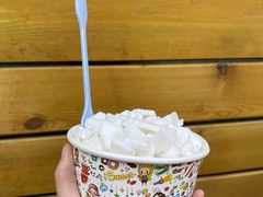 椰子冰-初心炒酸奶(厚德品园店)