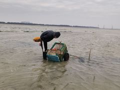 -北海金海湾红树林生态旅游区