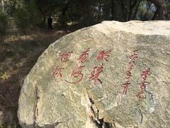 -宋井风景区