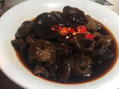 -探窝·竹笙椰子鸡(杨箕店)