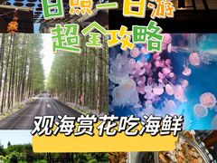 -渡海小渔村.老辈日照菜