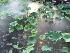 -四川大学(望江校区)