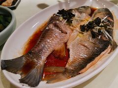 -七菜馆·东北菜·蒸饺(文体路店)