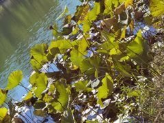 -北方图书城(滑翔店)