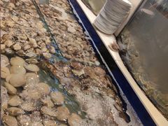 -海天盛宴新派海鲜自助餐厅(群力店)