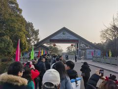 -中国大熊猫保护研究中心雅安碧峰峡基地