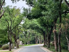 -东湖落雁景区