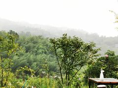 -美食美客纸上烤鱼(成都龙湖时代天街店)