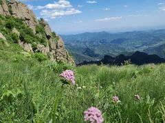 -白草畔自然风景区